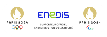 LOGO ENEDIS