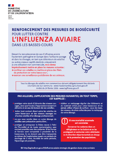 affiche influenza aviaire