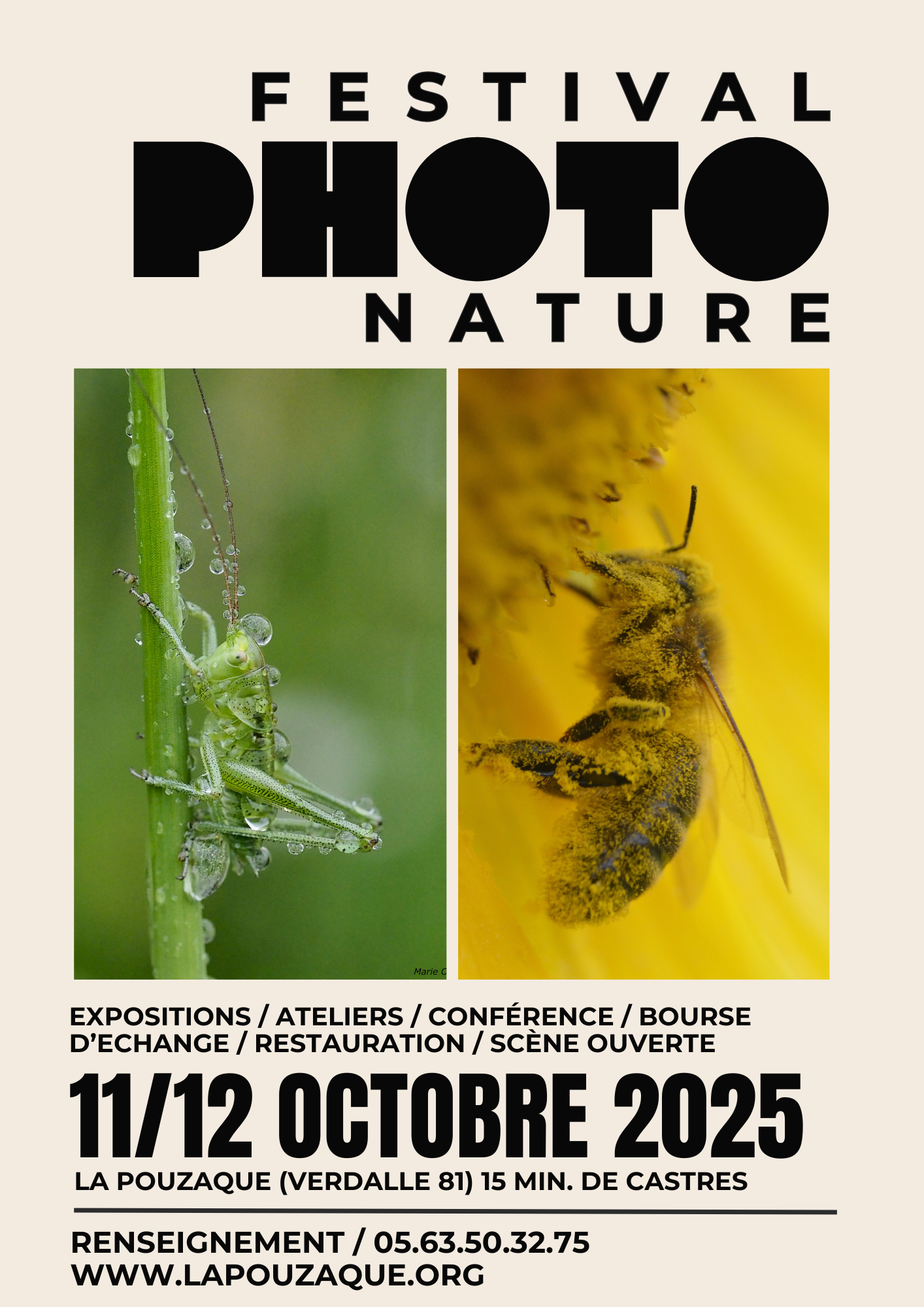 festival-photo-nature