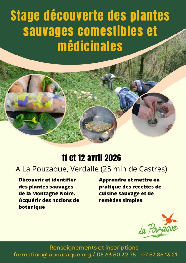 stage-découverte-des-plantes-la-pouzaque-verdalle