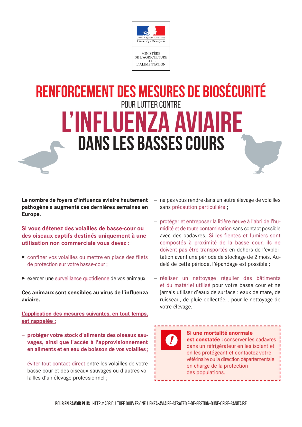 Flyer influenza aviaire