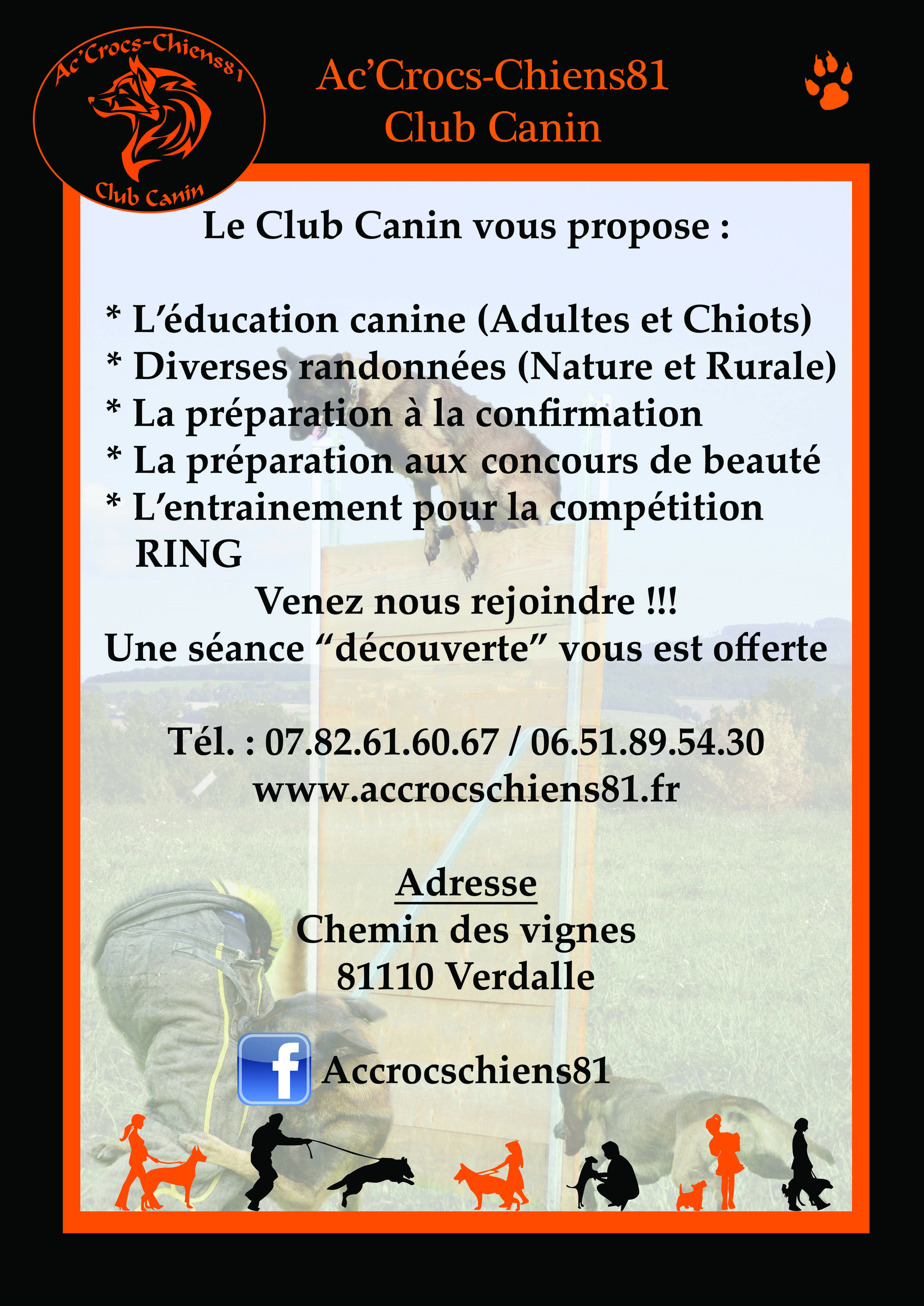Ac-crocs-chiens81-club-canin