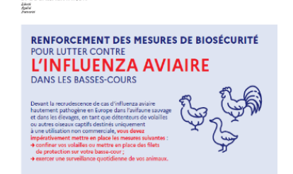 affiche influenza aviaire
