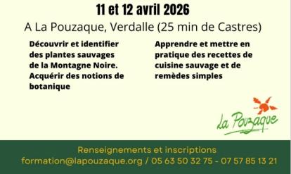 stage-découverte-des-plantes-la-pouzaque-verdalle