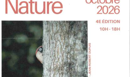 affiche festival photo 