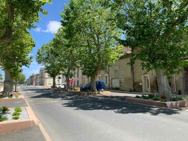 Verdalle, Avenue François Monsarrat